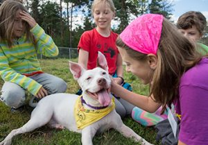 Group of children with dog at HSHV