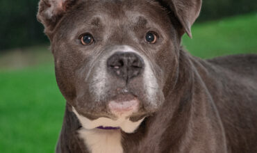 The WTKA Top-Dog-of-the-Week is Camilla