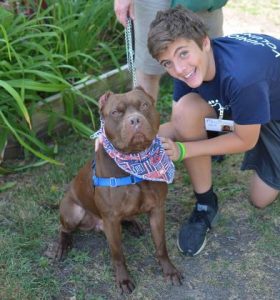 Enoch the dog with Junior Volunteer