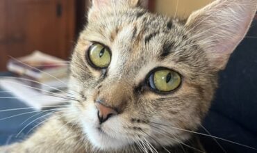 The Lucy Ann Lance Show Pet-of-the-Week is Mary Linda!