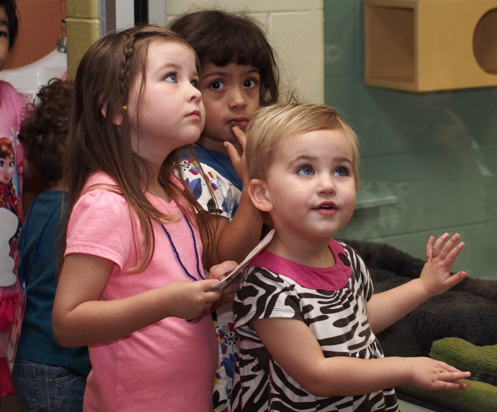 Amused toddlers at HSHV during Little Paws Storytime