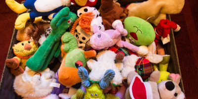 lots of dog toys