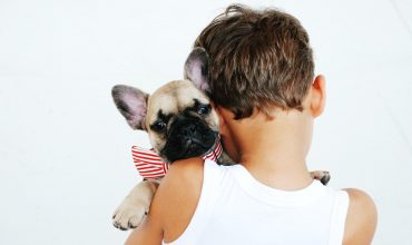 Children and Dogs: Important information for Parents