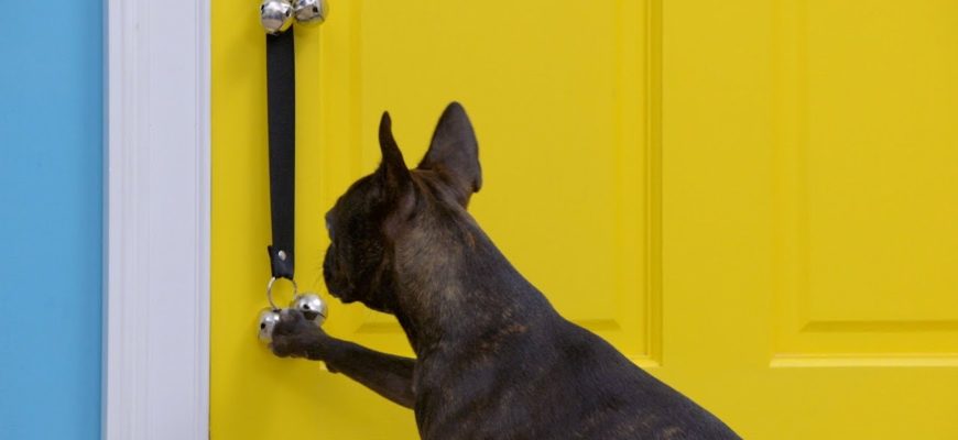 Teaching Ring Bell to Go Outside