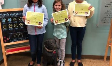 Alina, Maya, and Avery: Adoption inspires donations