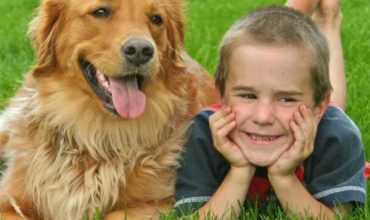 Dog Meets Young Child