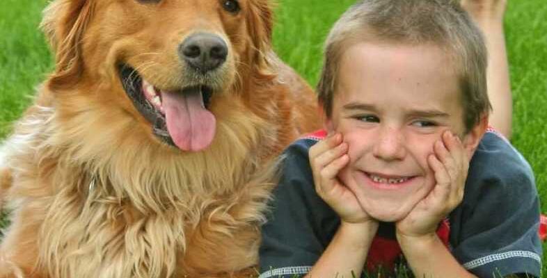 Dog Meets Young Child