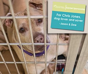 Sponsor a kennel