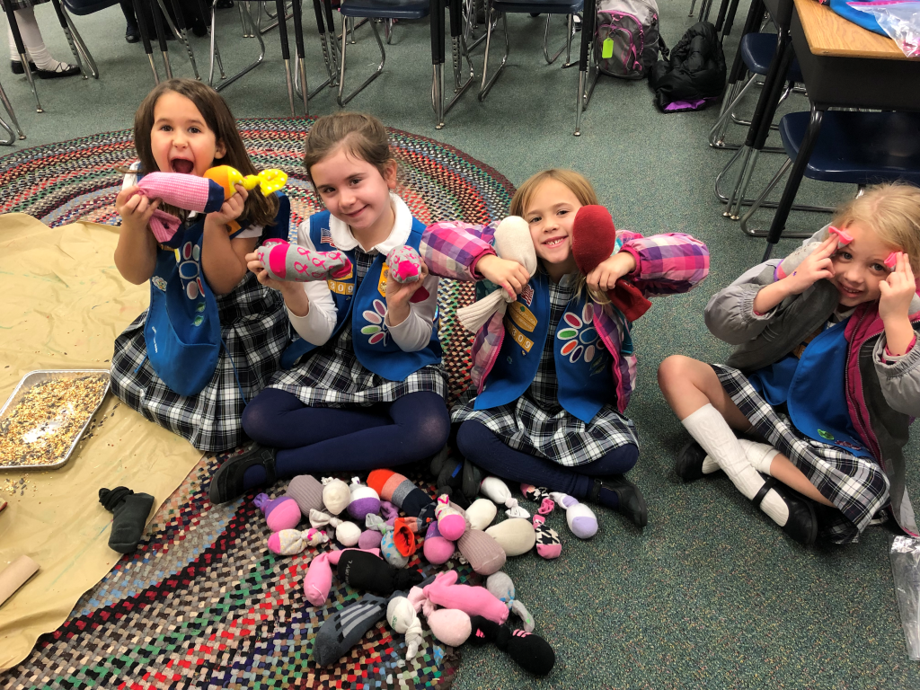 Daisy Troop 40309 Gives Back to Cats! HSHV