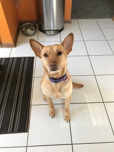 Rey has a loving home