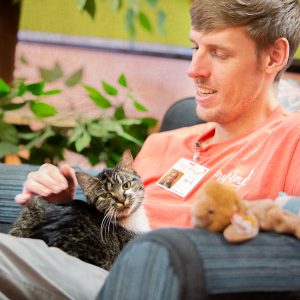 Paisley the cat on someone's lap at the Tiny Lions cat cafe