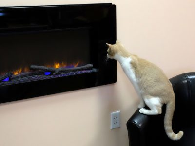 fireplace (1)