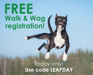 Free Walk & Wag registration - Today only - Use code LEAPDAY