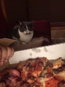 Great emotional support animal