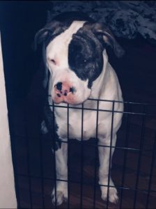 Needs a Family