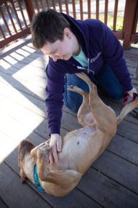 It is a story that trainers often hear: “My dog rolled over asking for a belly rub from the neighbor, and then out of the blue bit her when she touched him.” 