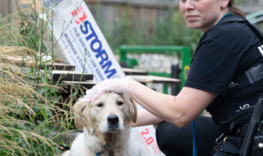 Humane Society of the United States awards HSHV’s Cruelty and Rescue Supervisor