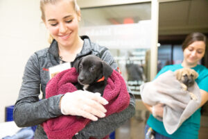 A woman carrying a puppy off the Love Train into HSHV