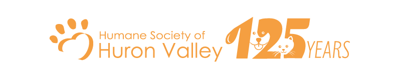 orange hshv 125th anniversary logo