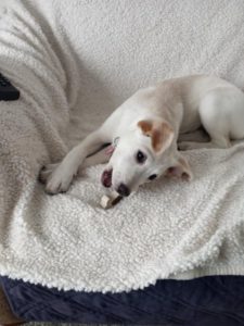 I'm Summer and I Love to Play!