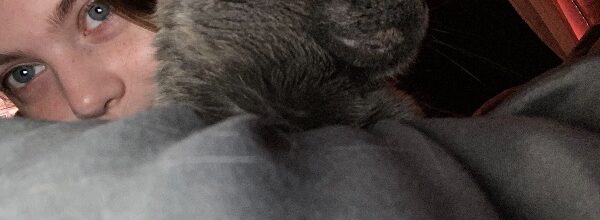 Best Friends Furrever