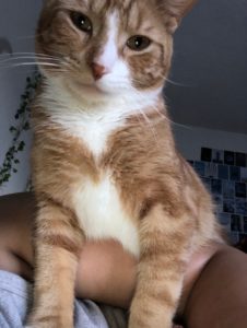 A Good Home Needed Soon