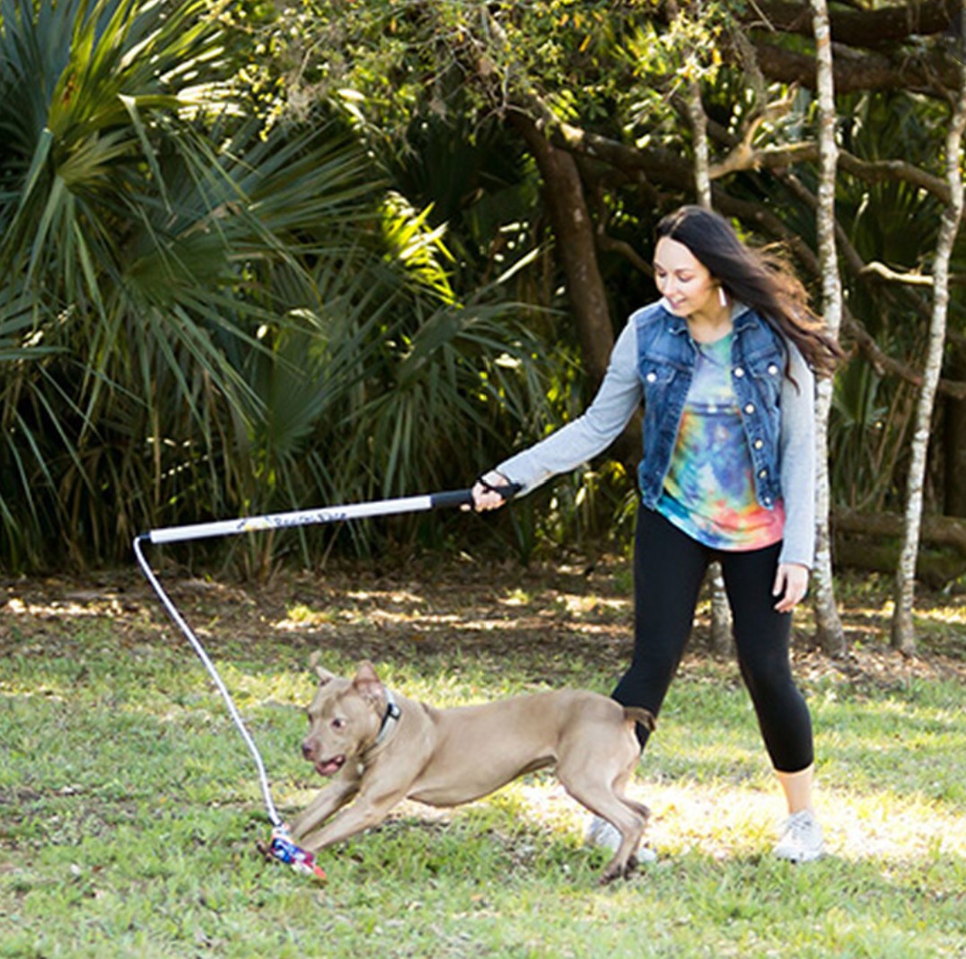 Wondering how to exercise your dog in winter? Try flirting! A flirt pole, that is! Flirt poles are like oversized cat wand toys with a fleece or plush toy at the end. And dogs go bonkers for them!