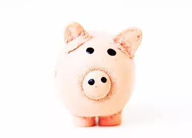 pink piggy bank