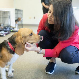 Humane Society of Huron Valley - Ann Arbor