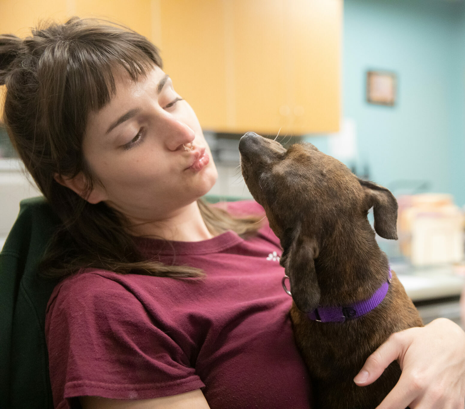 Do Dogs Love Us Back HSHV do-dogs-love-us-back-hshv