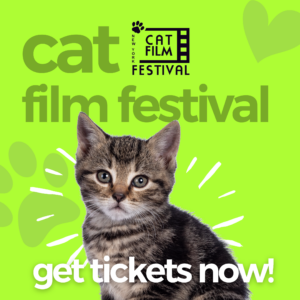 Get tickets now to the Cat Film Festival at Michigan Theater!