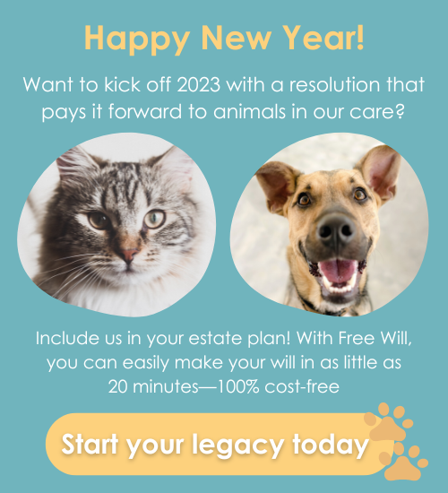 website-popup-free-will-hshv