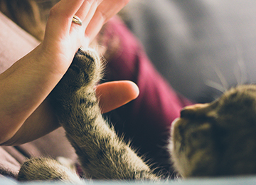 PG-High5