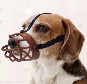 Muzzles aren't just for bad dogs...