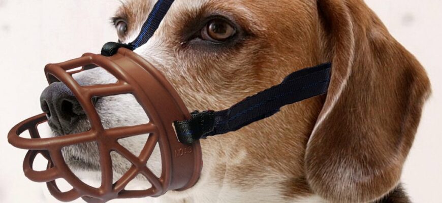 Muzzles aren’t just for bad dogs…