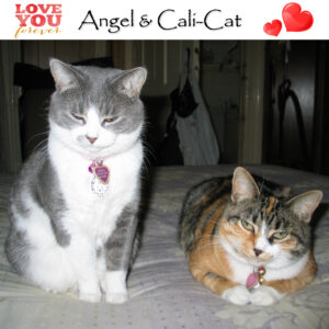 Angel-Calli-cute-two-4x4