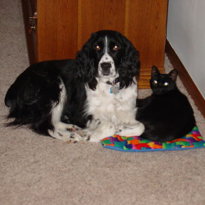 Jasmine Josie lounging2