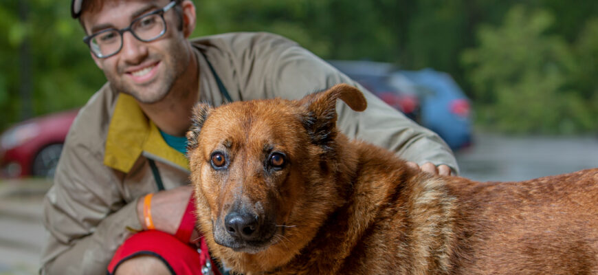 Calming Your Anxious Dog