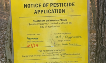 What’s Glyphosate doing in our neighborhood?