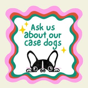Case Dogs Need a Foster