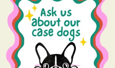 Case Dogs Need a Foster