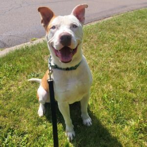 Saturn Needs a Foster