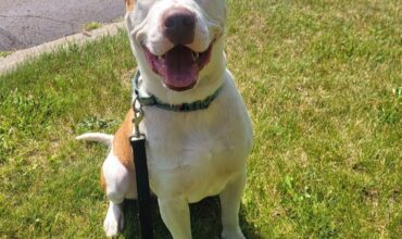 Saturn Needs a Foster