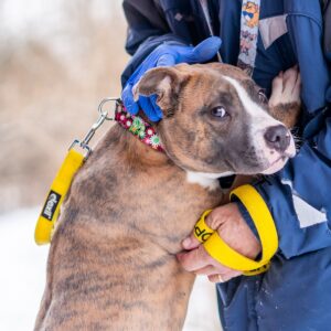 Are you really happy to see me?