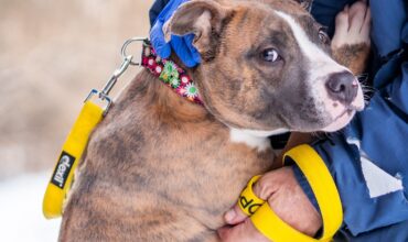 Are you really happy to see me?