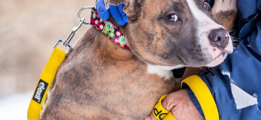 Are you really happy to see me?