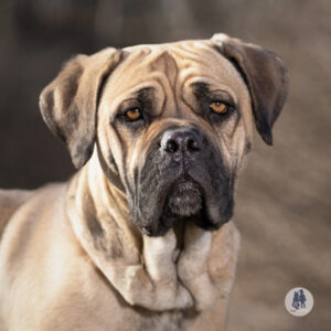 Cash Is Hoping For A Foster