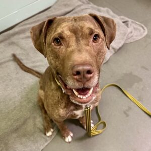 Kodak is Seeking Foster