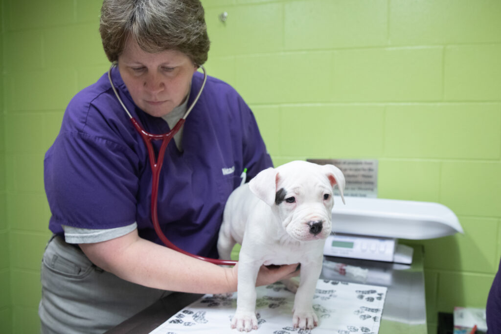 20200108__61A0933_Anne_Savage