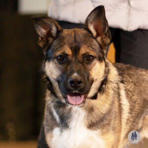 Hazel Grace Wants a Foster